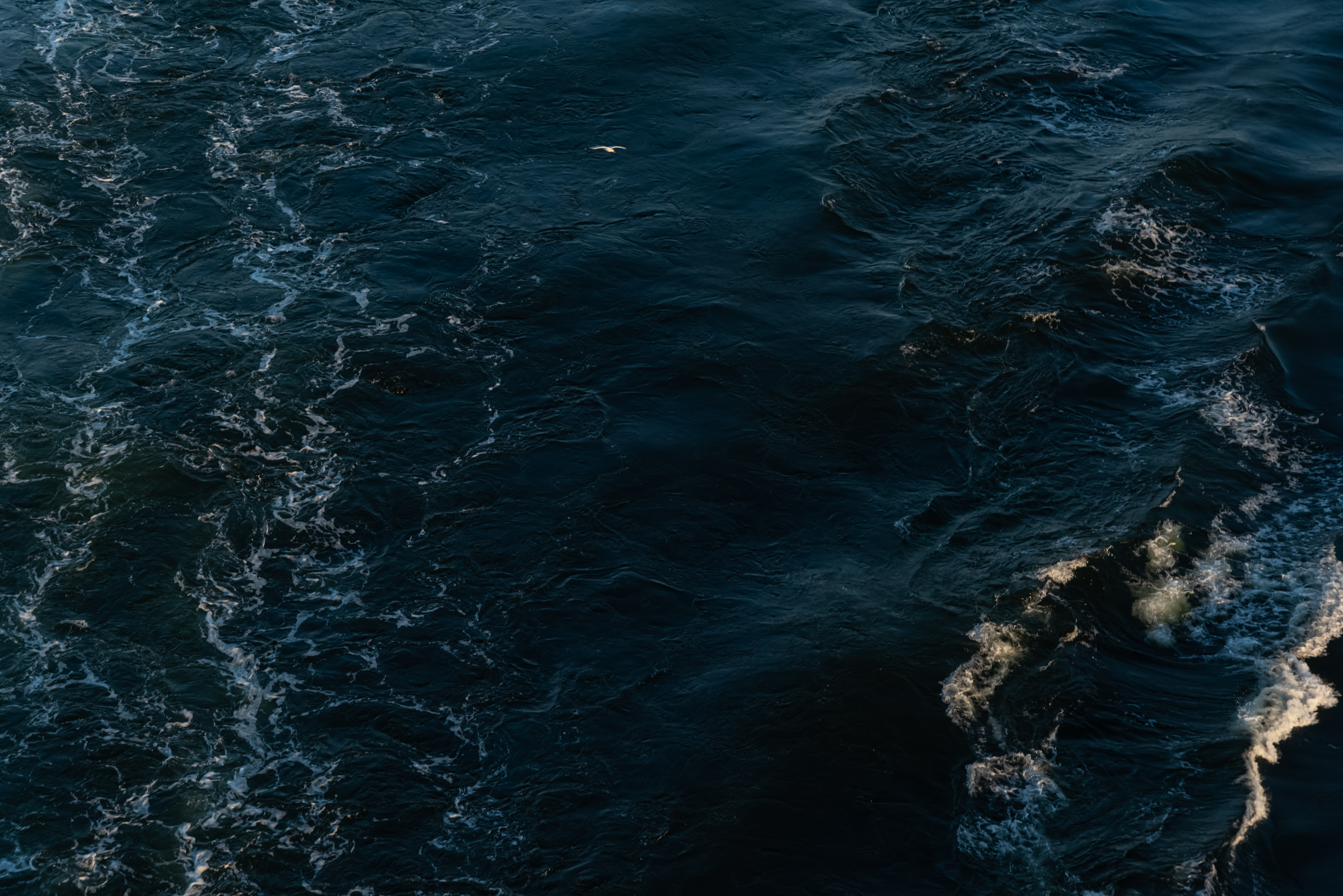 Dark ocean horizon inspiring the Marinus identity